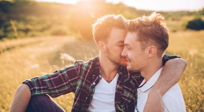 Male homosexuality focuses on casual sex