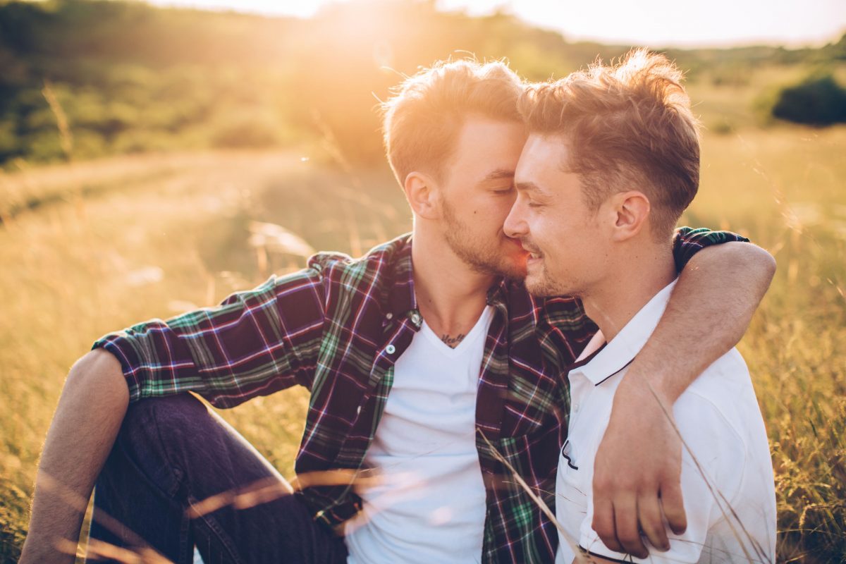 Male homosexuality focuses on casual sex