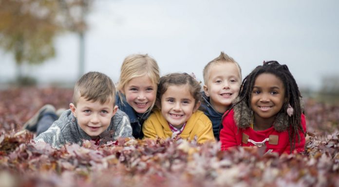 Child sexual abuse, incest and paedophilia