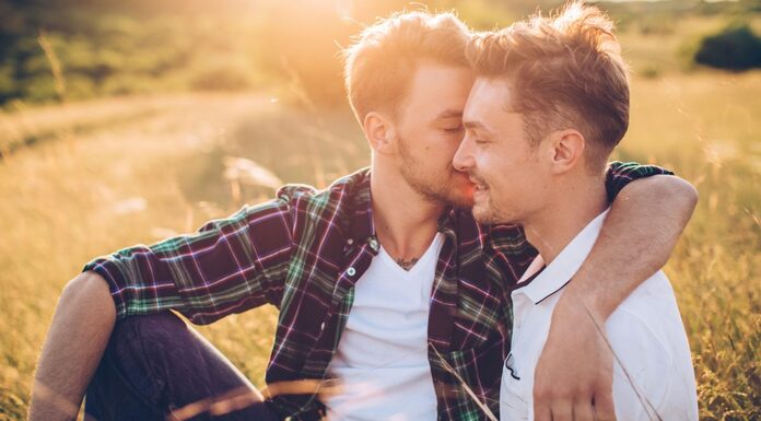 Male homosexuality focuses on casual sex