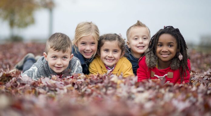 Child sexual abuse, incest and paedophilia